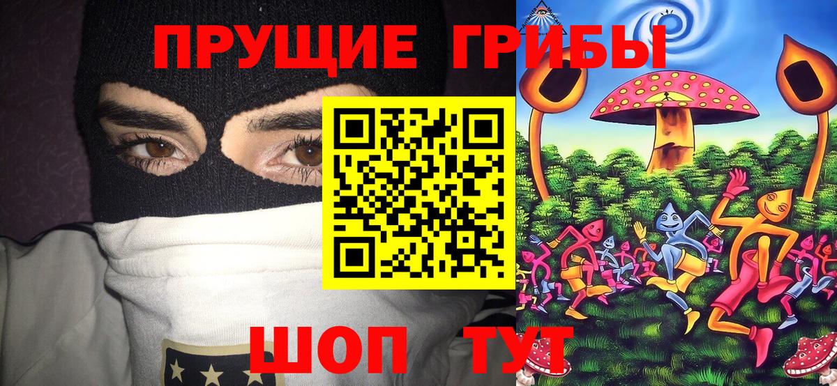 Славянск-на-Кубани  Псилоцибиновые грибы Cubensis  Вход с VPN  Галлюциногенные грибы ЛСД 